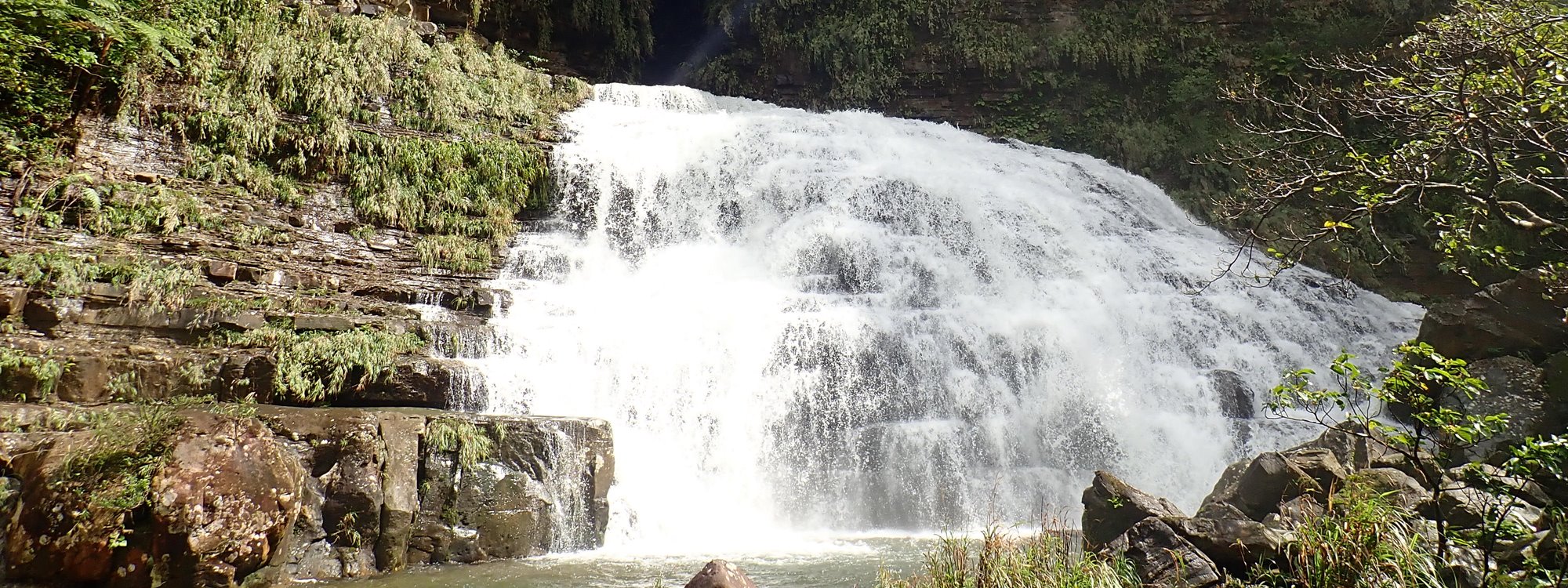 イリオモテヤマネコの城へ マヤグスクの滝トレッキング 仲良川観光 西表島大自然ツアー開催